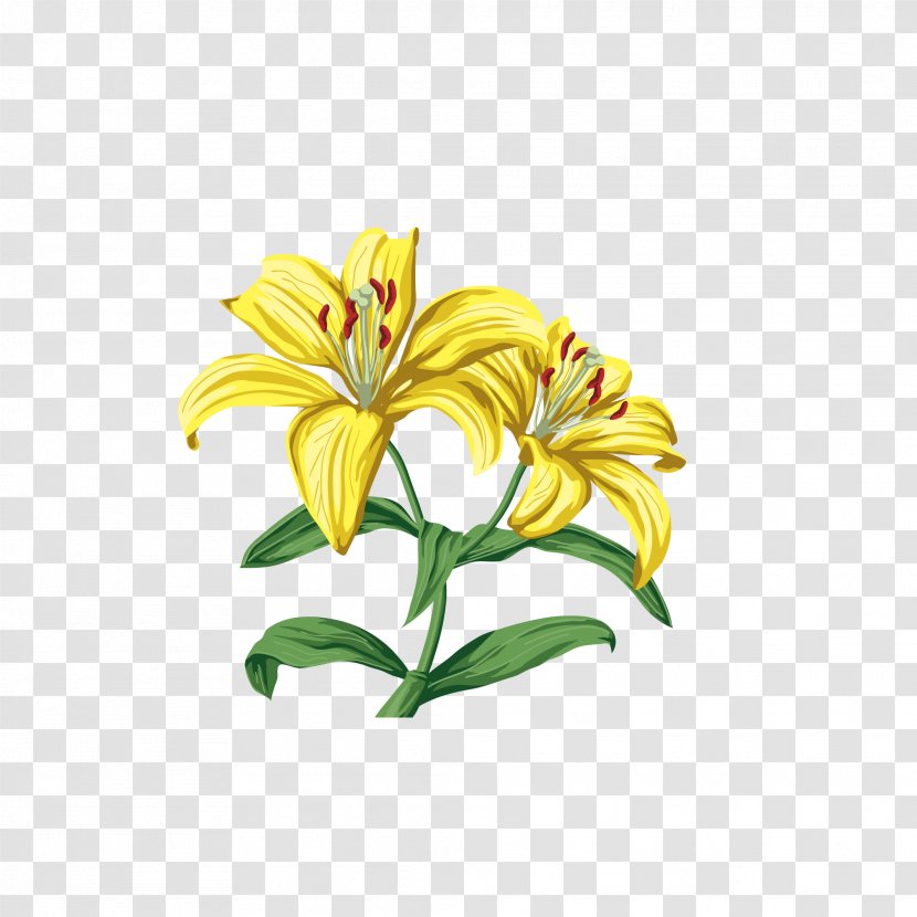 Lilium Clip Art - Daylily - Hand-painted Lily Transparent PNG