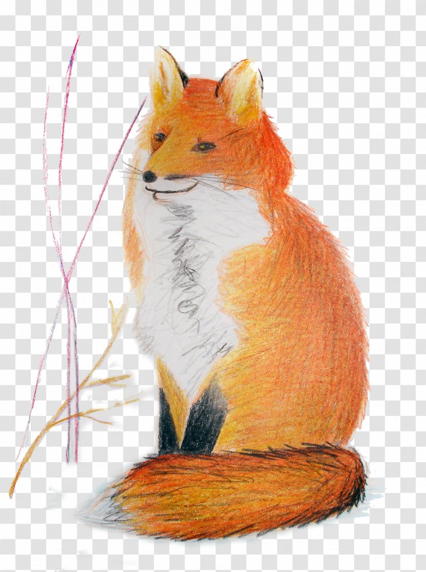 Red Fox Mouse Whiskers News - Dog Like Mammal - Squirrel Transparent PNG