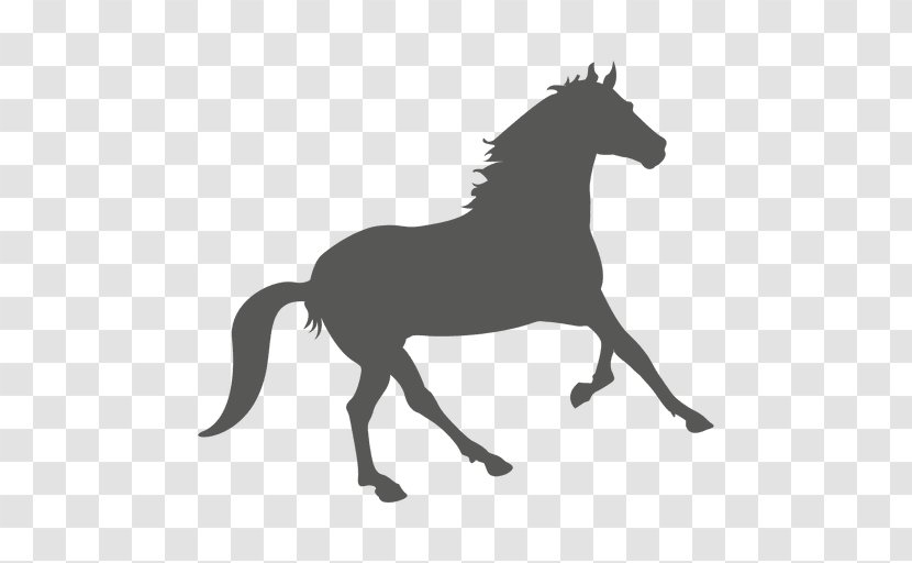 Mustang Stallion Colt Foal American Paint Horse - Mare - Fish Elements Transparent PNG