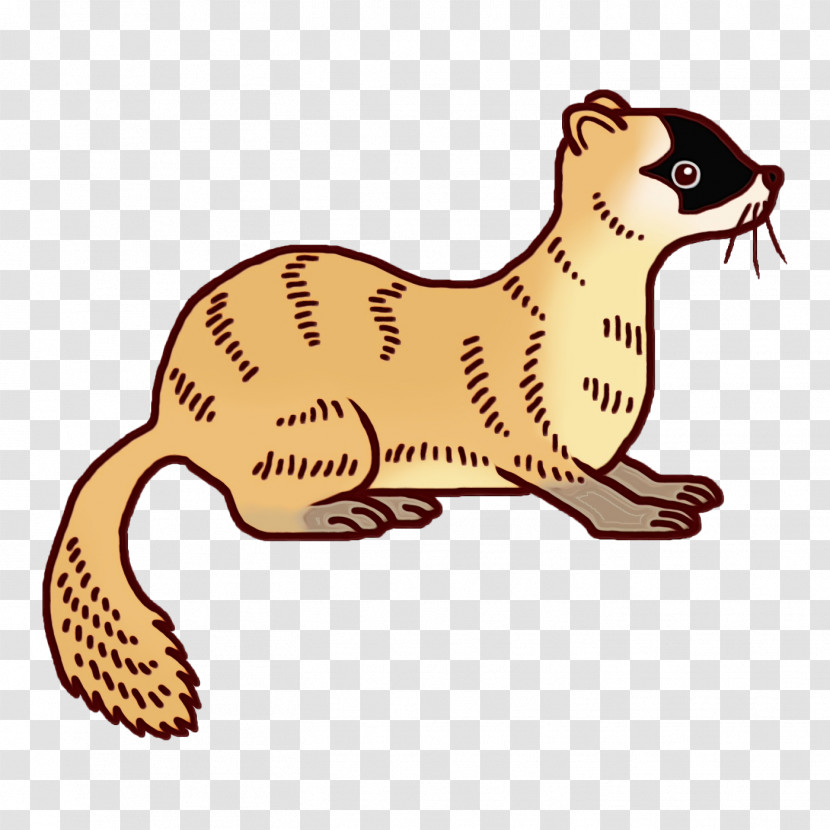 Whiskers Cat Mustelids Dog Tail Transparent PNG