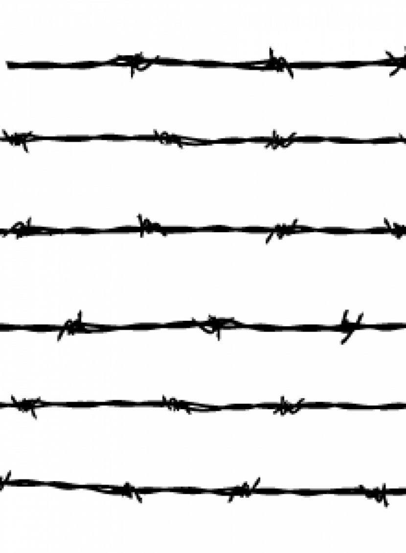 Barbed Wire Fence Tape Clip Art - Plant Stem - Barbwire Transparent PNG