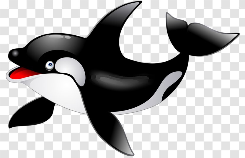 Killer Whale Dolphin Clip Art - Humpback - Cute Transparent PNG