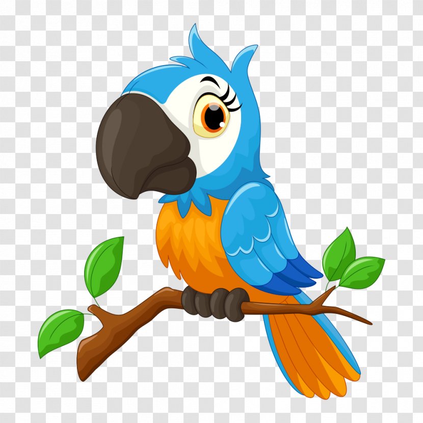 Parrot Cartoon Bird Illustration - Blue On Tree Branch Transparent PNG