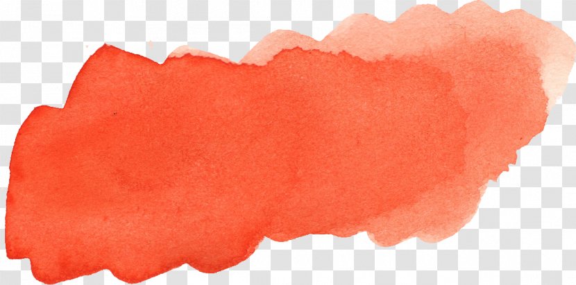 Orange Paintbrush - Blog - Stroke Transparent PNG