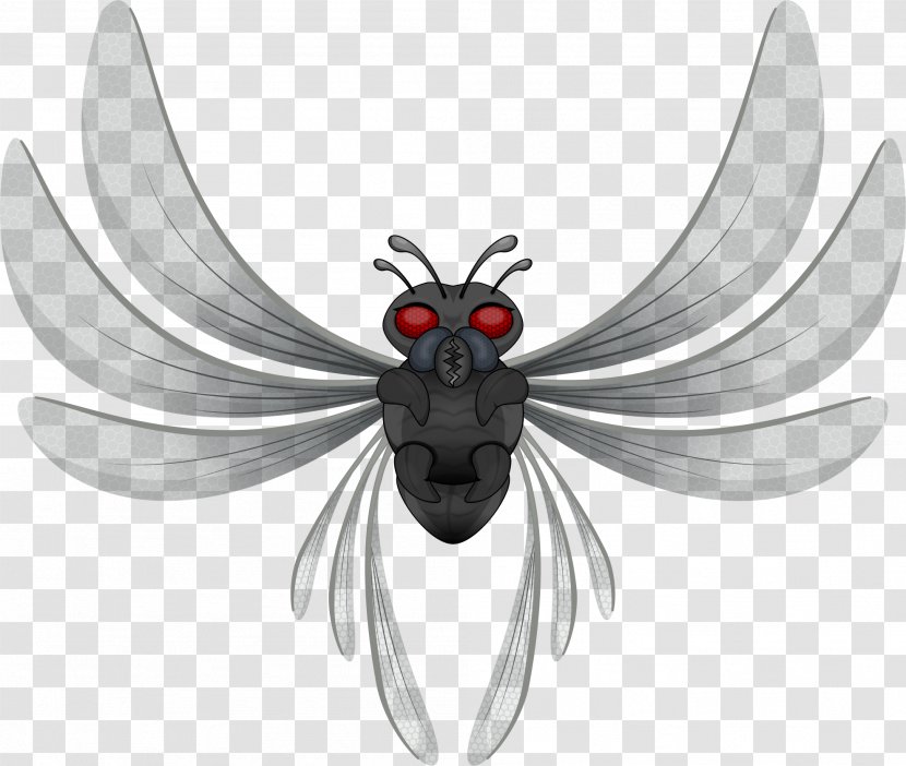 Beetle Insect Wing Animal Clip Art - Pollinator Transparent PNG