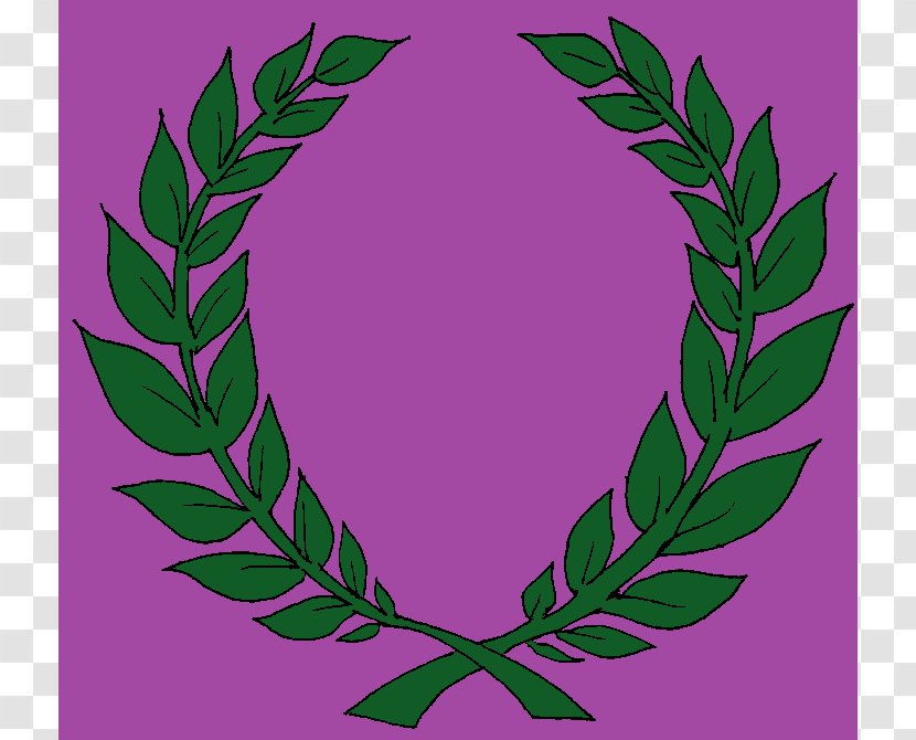 Clip Art Laurel Wreath Openclipart Olive Borders And Frames - Flowering Plant - Crown Transparent PNG