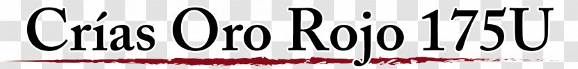 Logo Font Brand Eyelash Line - Red Web Website Transparent PNG