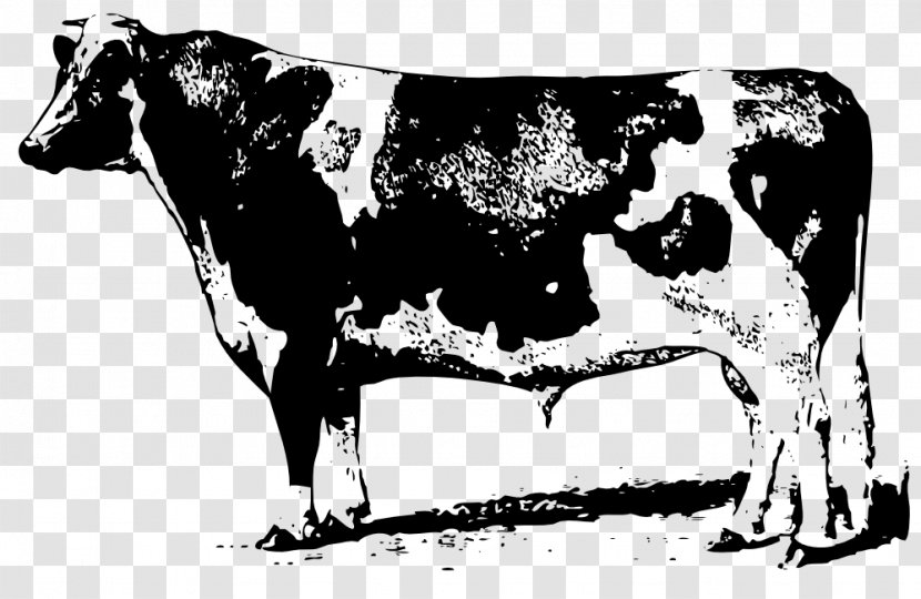 Beef Cattle Jersey Angus Clip Art - Two Cow Transparent PNG