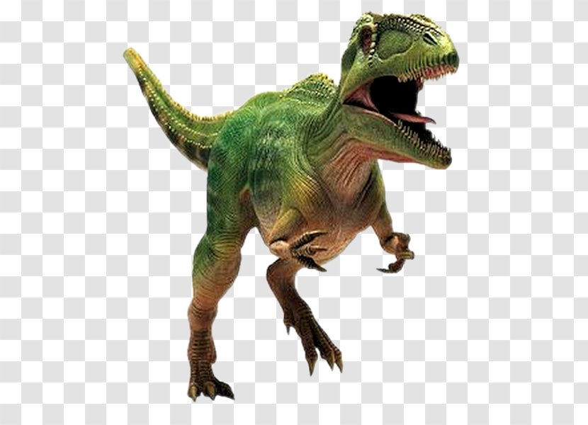 Giganotosaurus Mapusaurus Tyrannosaurus Carcharodontosaurus Spinosaurus - Ankylosaurus - Dinosaur Transparent PNG