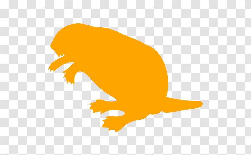 Beaver Cartoon - Drawing - Tail Yellow Transparent PNG