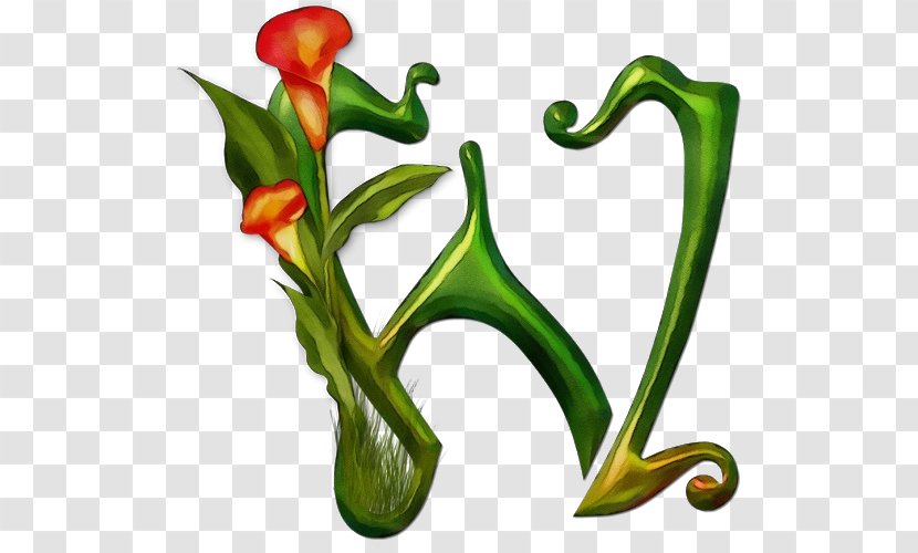 Watercolor Flower Background - M - Plant Stem Nepenthes Transparent PNG