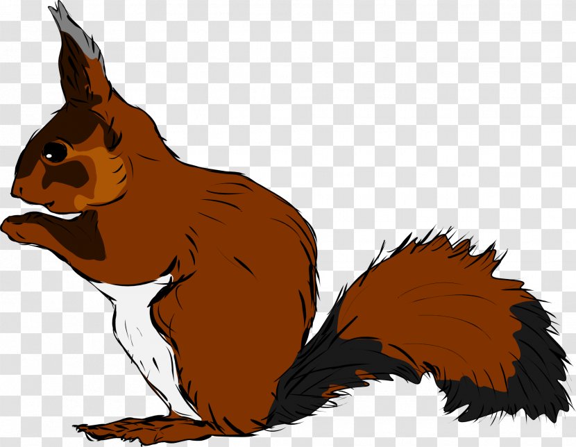 Squirrel Clip Art - Animal Figure Transparent PNG