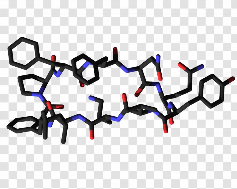 Tyrocidine Amino Acid Brevibacillus Brevis Bacteria Enzyme Transparent PNG