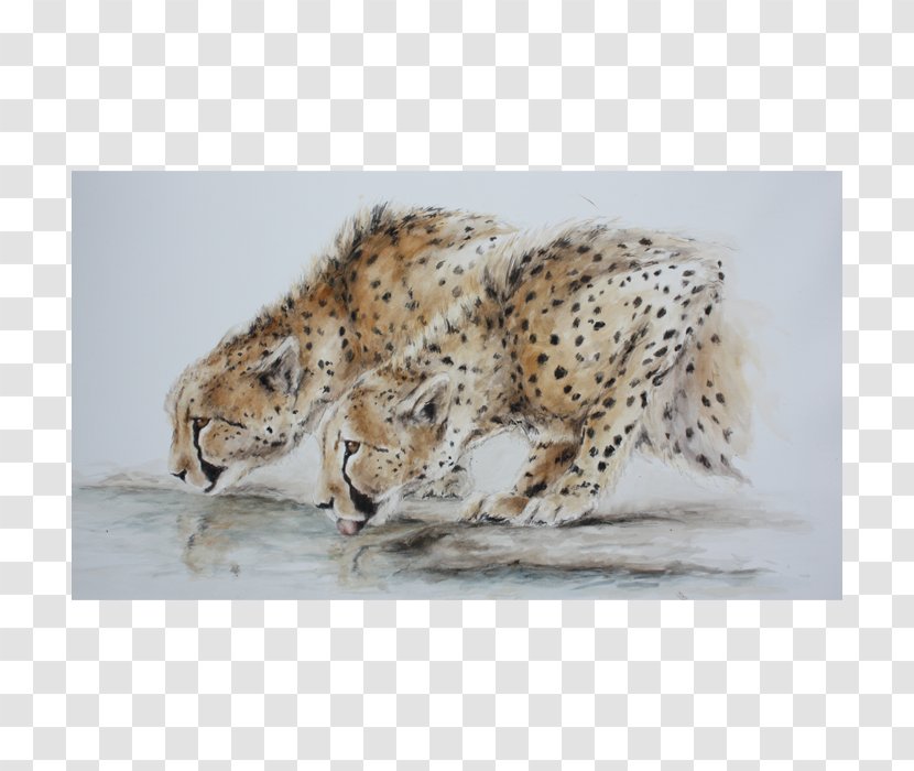 Cheetah Leopard Jaguar Hare Lion - Cat Like Mammal Transparent PNG