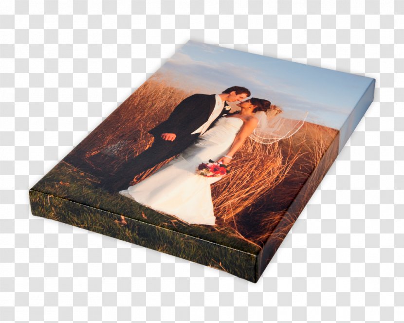 Canvas Print Gallery Wrap Painting - Picture Frames Transparent PNG