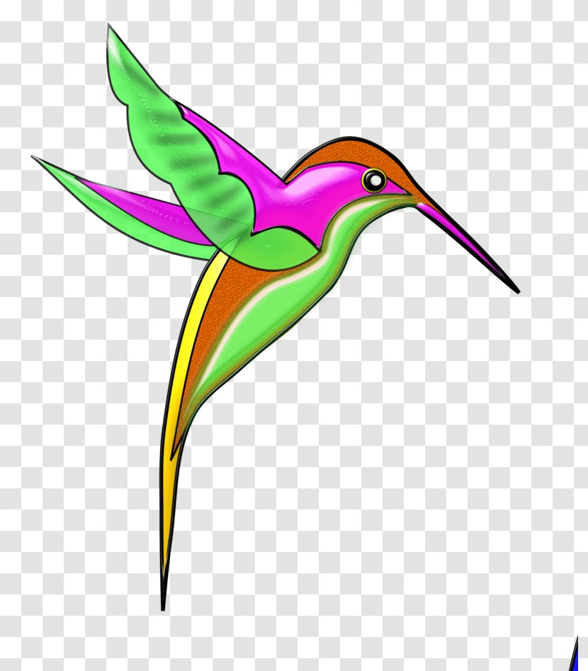 Berylline Hummingbird Beak Violetear - Bird - Absent Design Element Transparent PNG
