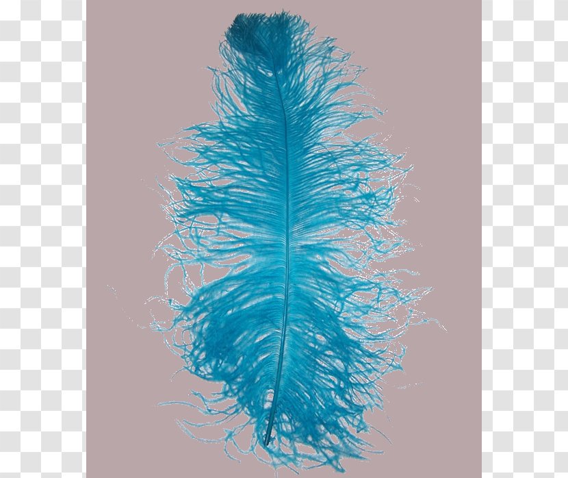 Feather Woman .net .com - Tree Transparent PNG