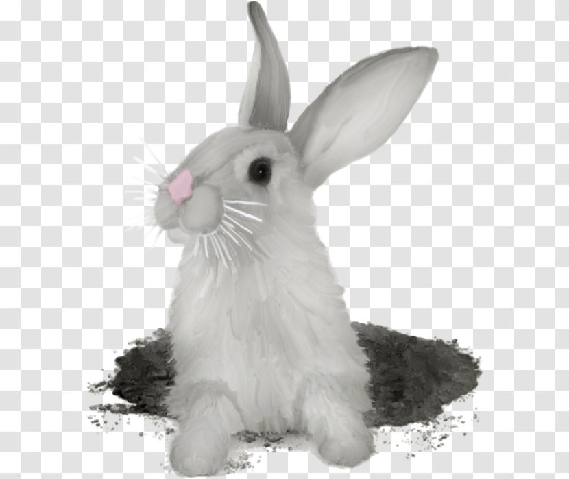 Hare Domestic Rabbit Rex - Animation Transparent PNG