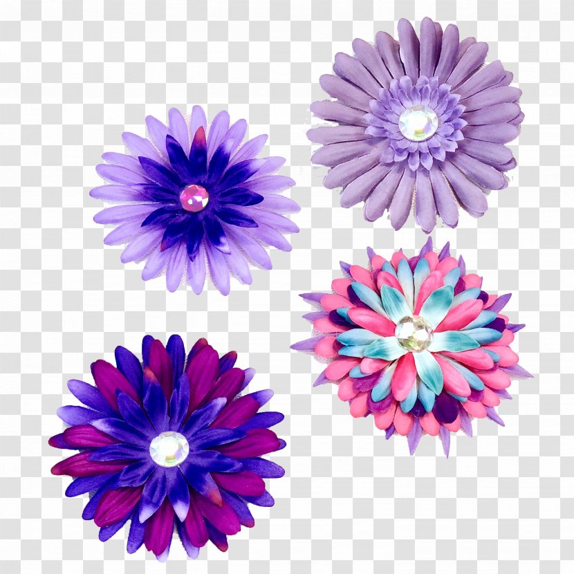Cut Flowers Purple Violet Transvaal Daisy - Drawing - Flat Lay Summer Transparent PNG