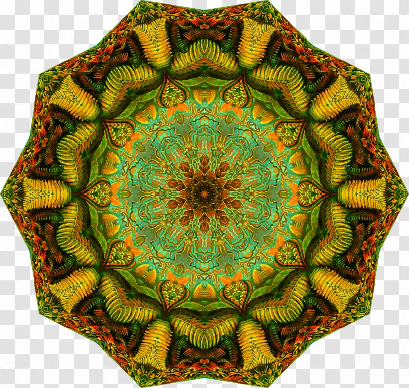 Symmetry Circle Polypodiopsida Ernst Haeckel Pattern - Green Transparent PNG
