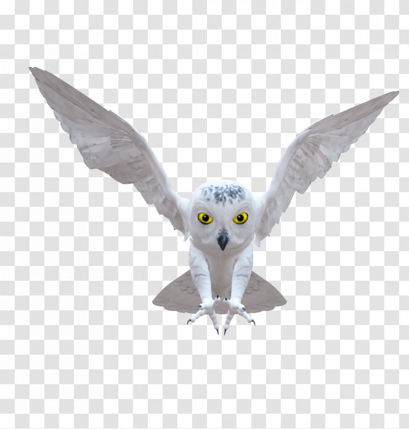 Owl Bird Clip Art - Email Transparent PNG
