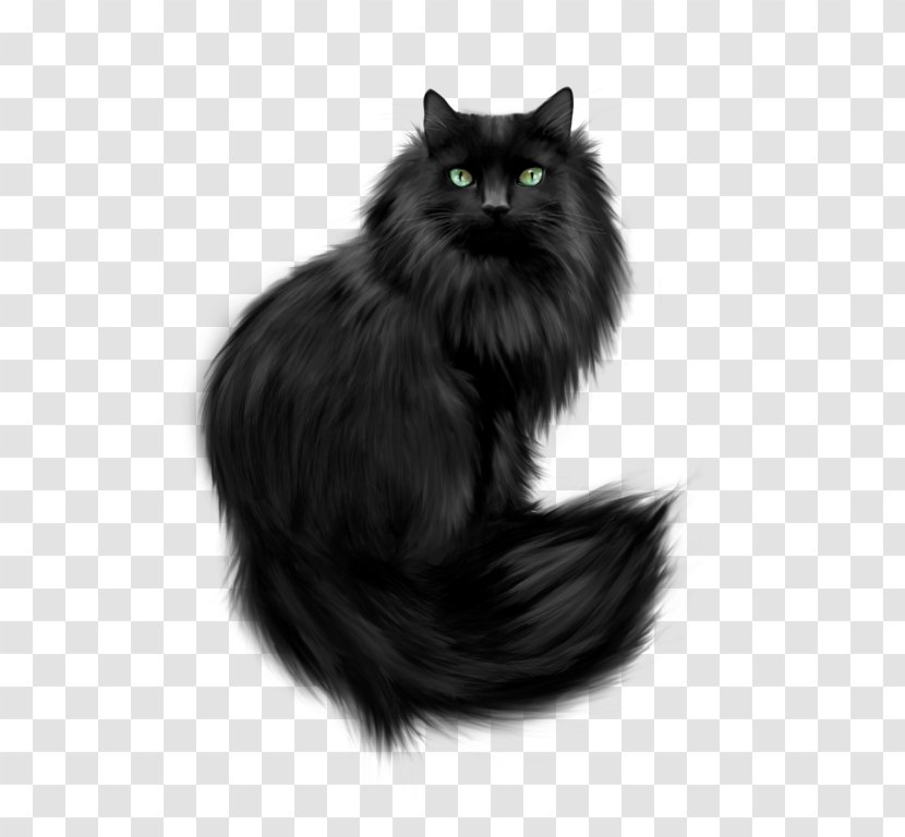 Kitten Persian Cat Havana Brown German Rex Clip Art - Carnivoran - Black Attack Transparent PNG