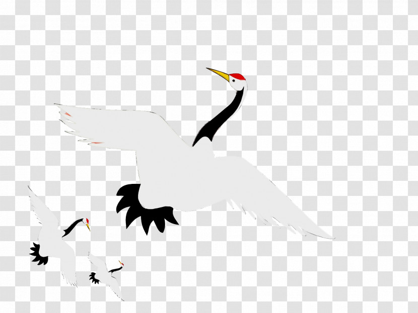 White Stork Ducks Birds Crane Water Bird Transparent PNG