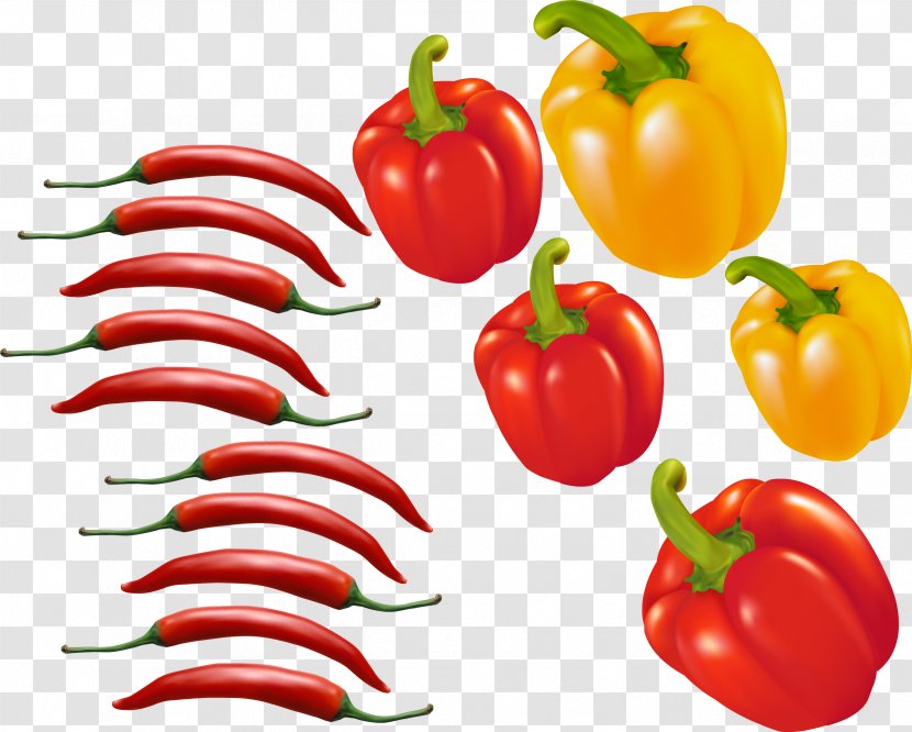 Bell Pepper Chili Tomato Euclidean Vector - Peppers And - Red Material Transparent PNG