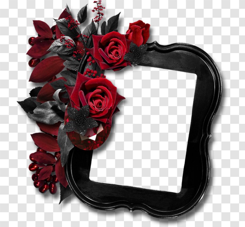 Black Rose Clip Art - Flower - Picture Frame Transparent PNG