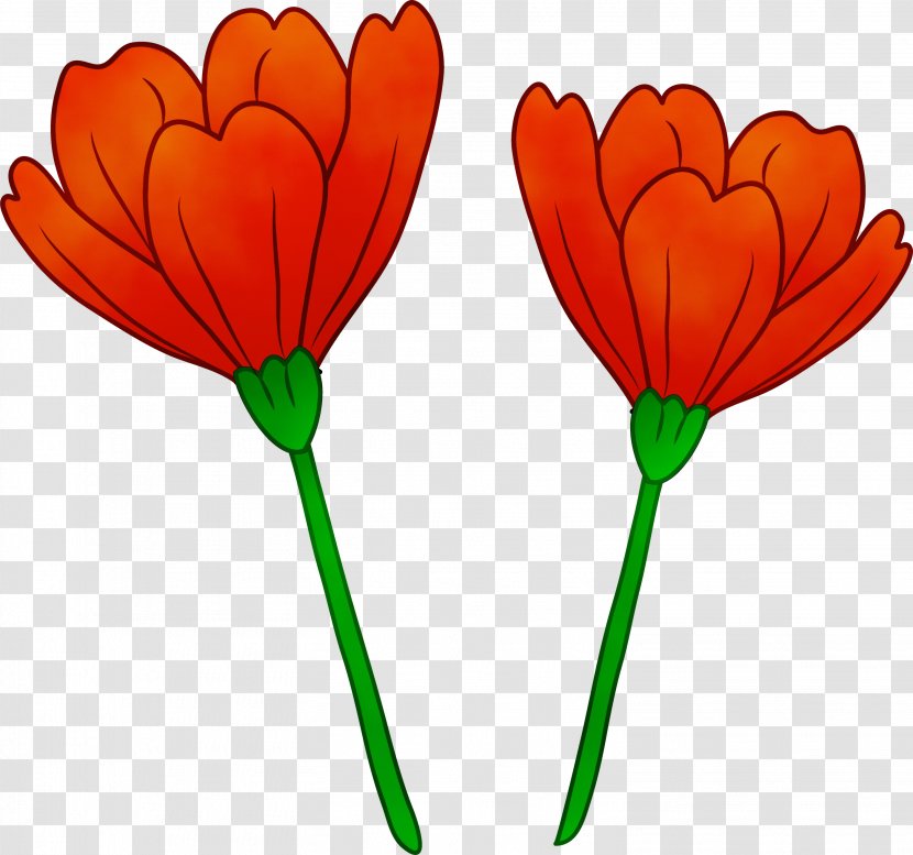 Clip Art Poppy Flower California - Opium - Coquelicot Transparent PNG