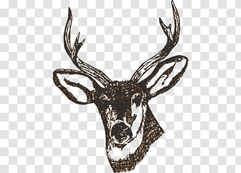 White-tailed Deer Clip Art - Whitetailed - Stag Head Transparent PNG