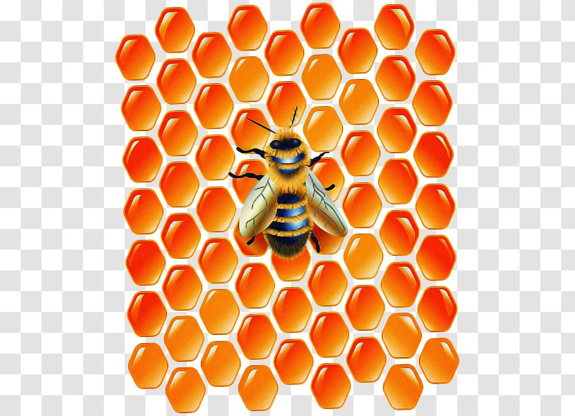 Hexagon Background - Honeybee - Insect Pollinator Transparent PNG