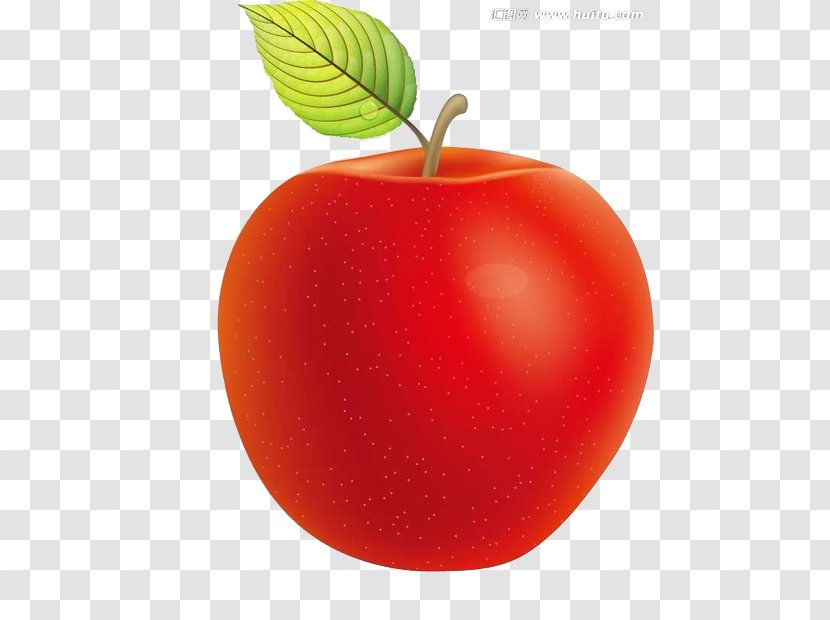 Apple Food Clip Art - Animation - Cartoon Red Transparent PNG