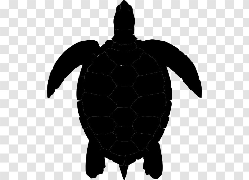 Green Sea Turtle Clip Art - Blog Transparent PNG