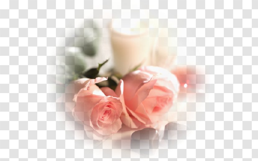 Garden Roses Love Romance Friendship Intimate Relationship - Watercolor - Tree Transparent PNG