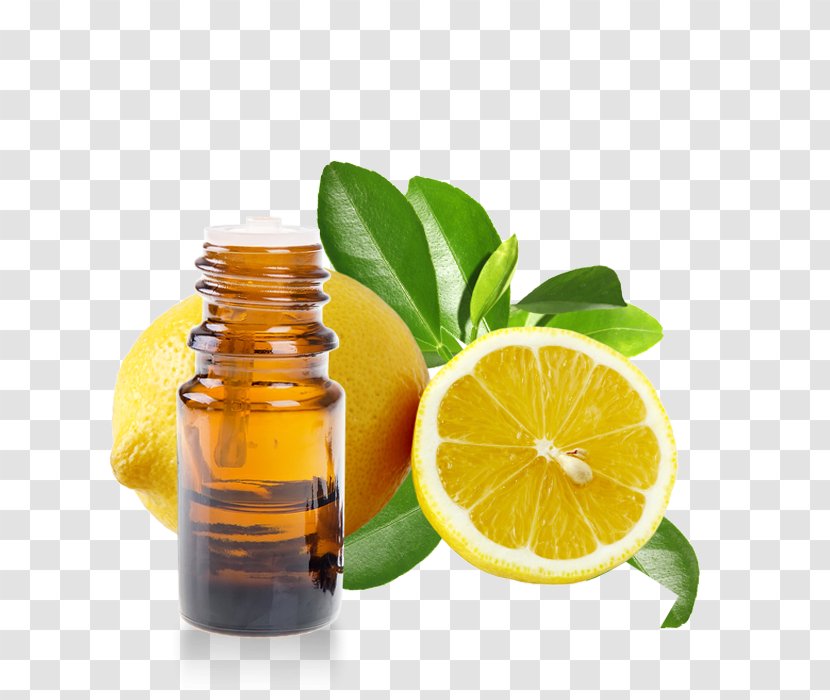 Essential Oil Huile Essentielle De Citron Lemon Ravensara Aromatica - Fruit - Millet Transparent PNG