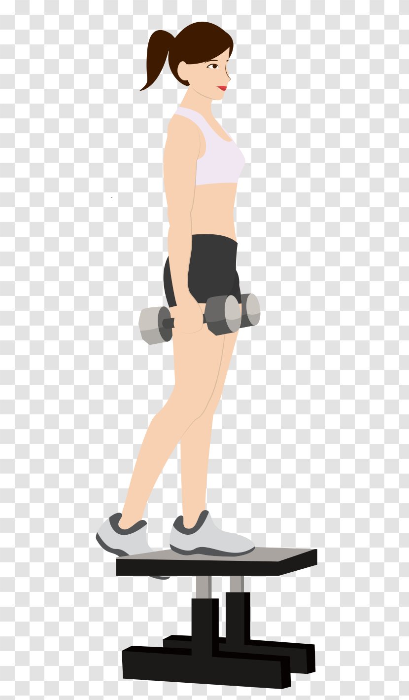Exercise Machine Health Functional Training New Product Development - Knee - Weight Loss Transparent PNG