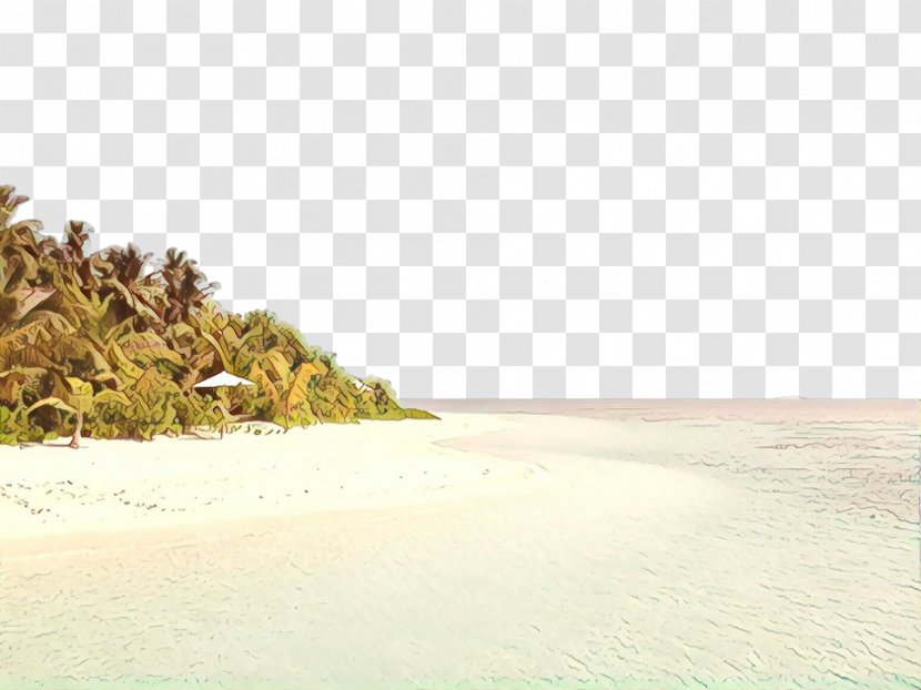 Travel Summer Beach - Tropical - Plant Bay Transparent PNG