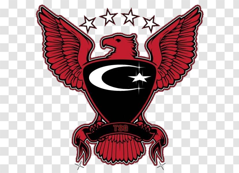 Atlanta Hawks Iron-on Logo - Mythical Creature Transparent PNG