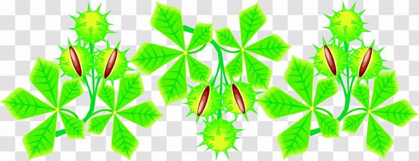 Information Clip Art - Plant Stem Transparent PNG