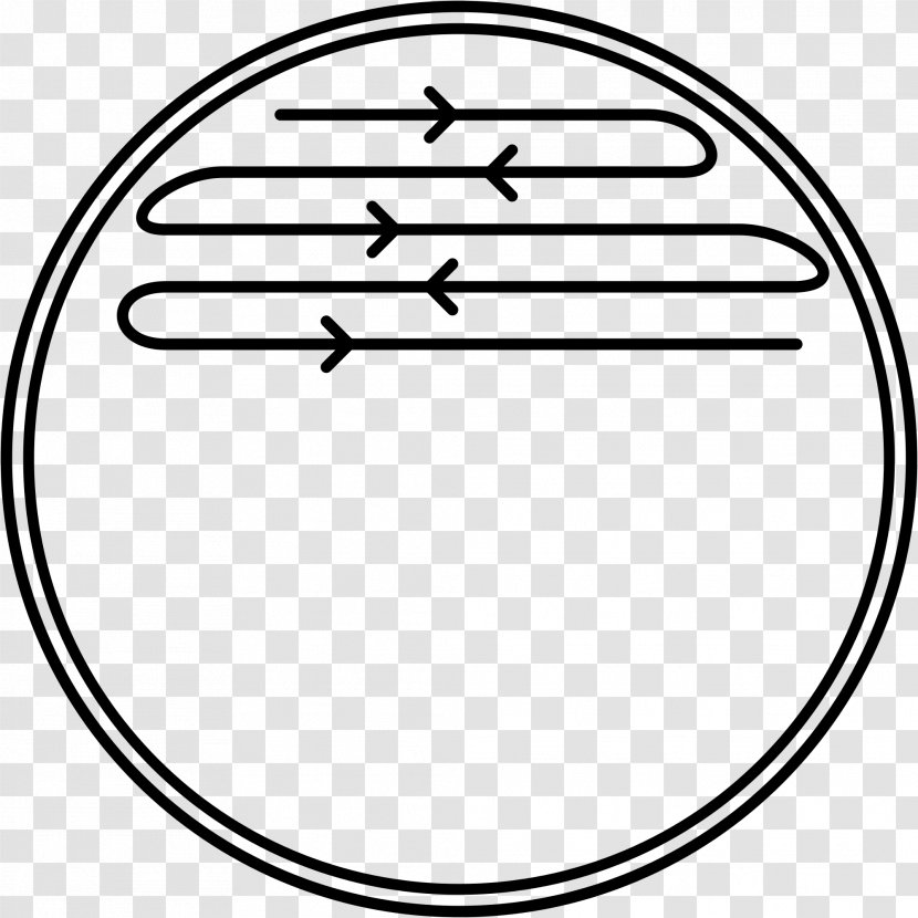 Posiew Petri Dishes Microbiology Clip Art - Line - A Plate Transparent PNG