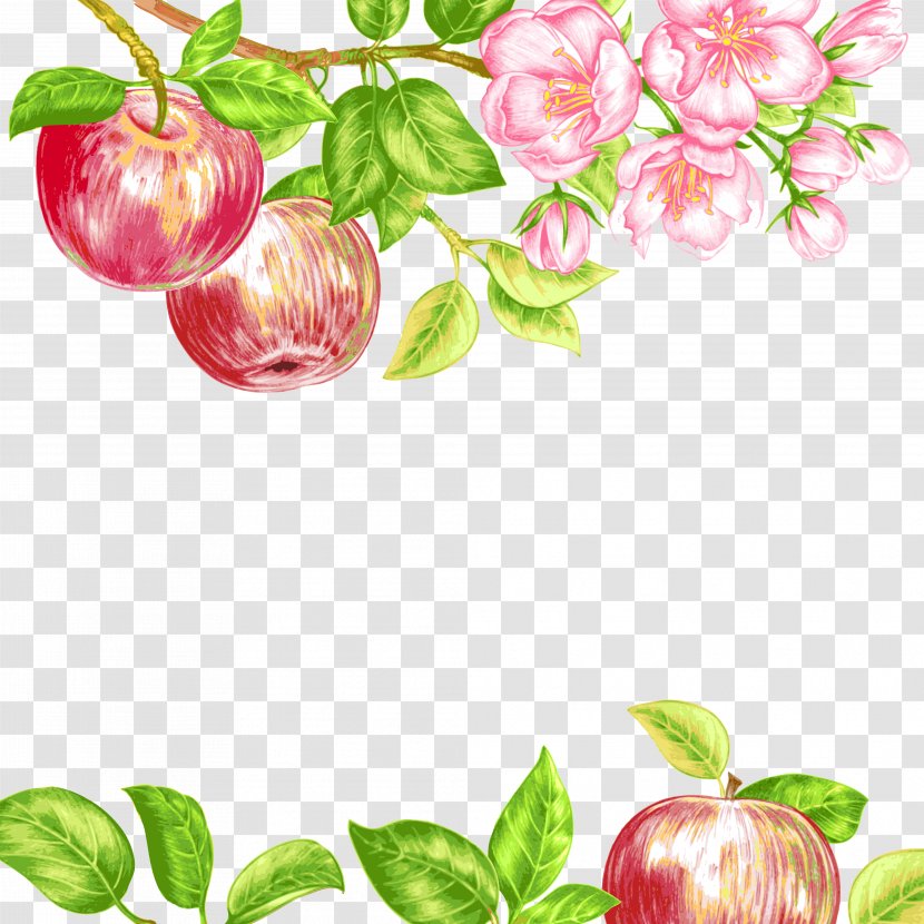 Royalty-free Photography Illustration - Floral Design - Apple Transparent PNG
