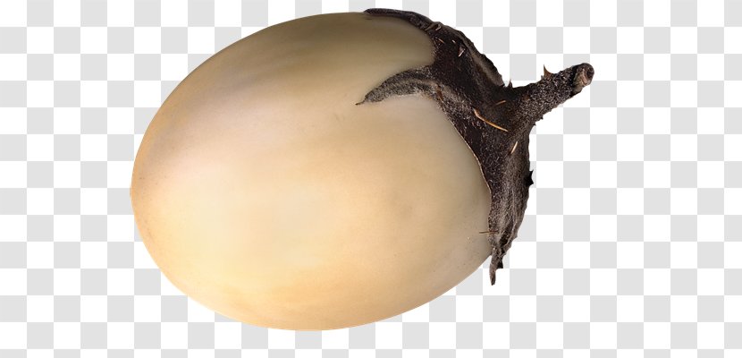 Fruit Eggplant - Verdura Transparent PNG