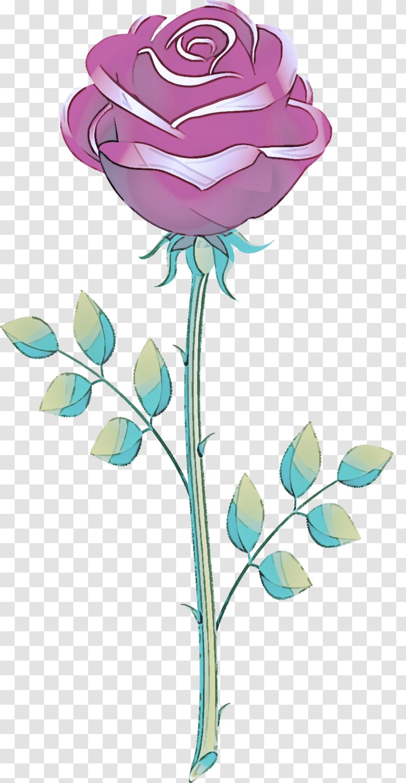 Blue Rose - Pedicel - Family Flowering Plant Transparent PNG