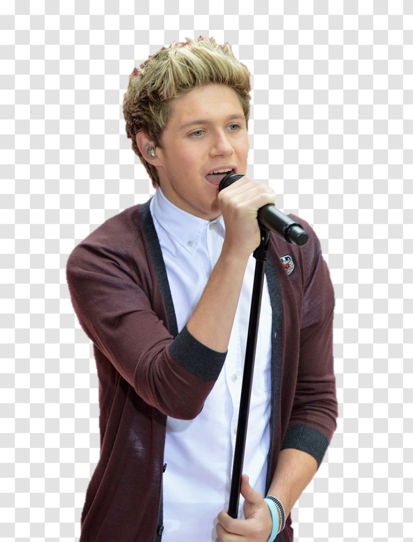 Niall Horan Mullingar One Direction Drawing - Frame Transparent PNG