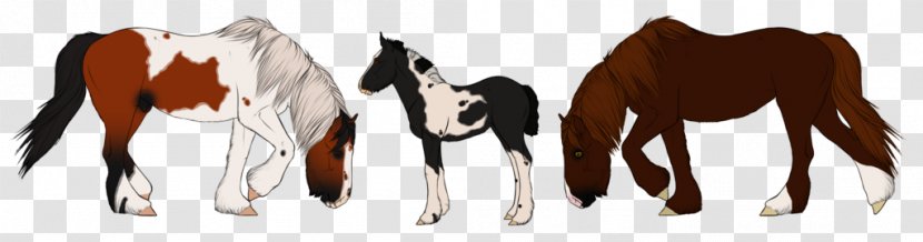 Mustang Foal Colt Stallion Mare - Rein - Gypsy Horse Transparent PNG