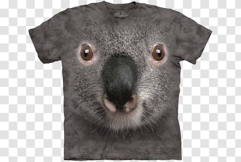 T-shirt Koala Bear Australia - Tshirt Transparent PNG