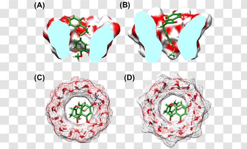 Faculty Of Science, Chulalongkorn University Computational Biology Biochemistry Christmas Ornament - Thailand - Hesperetin Transparent PNG