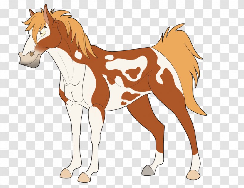 Foal Mustang Colt Stallion Mane - Rein Transparent PNG