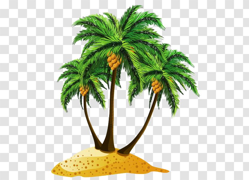 Arecaceae Tree Coconut Clip Art - Arecales - Beach Pic Transparent PNG